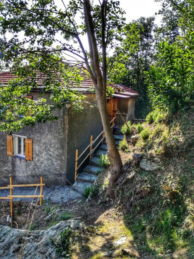 Berzuaia Bed & Breakfast Varazze Exteriér fotografie