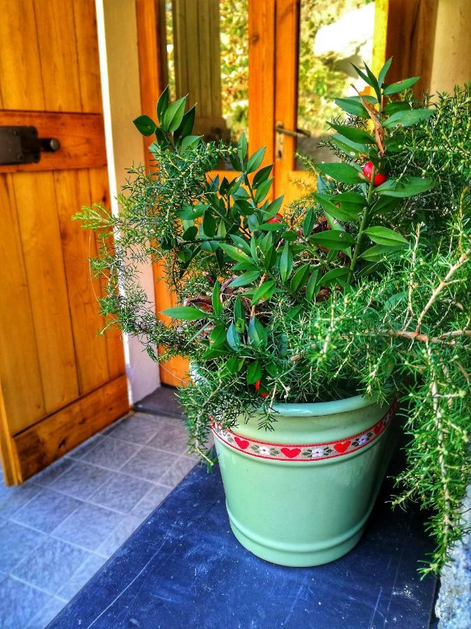 Berzuaia Bed & Breakfast Varazze Exteriér fotografie