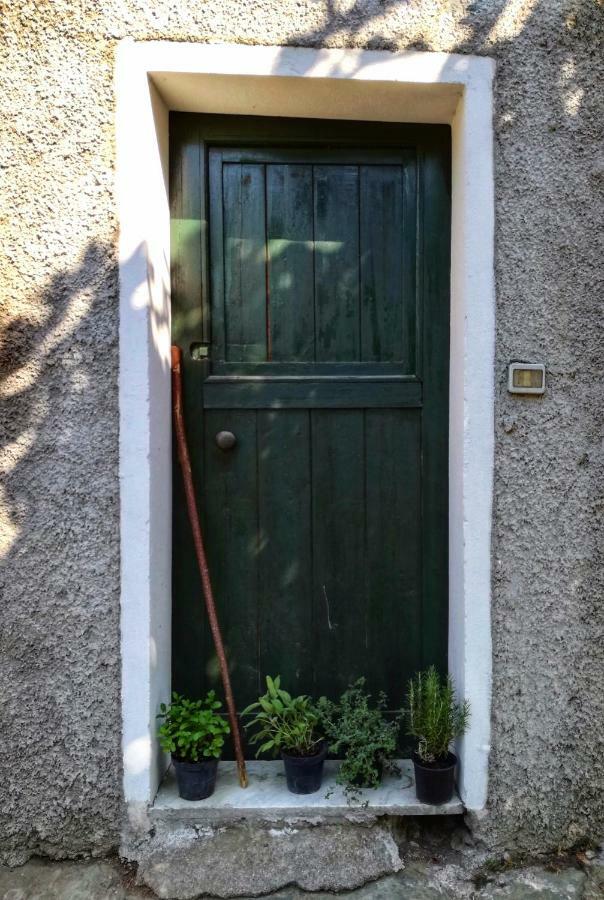 Berzuaia Bed & Breakfast Varazze Exteriér fotografie