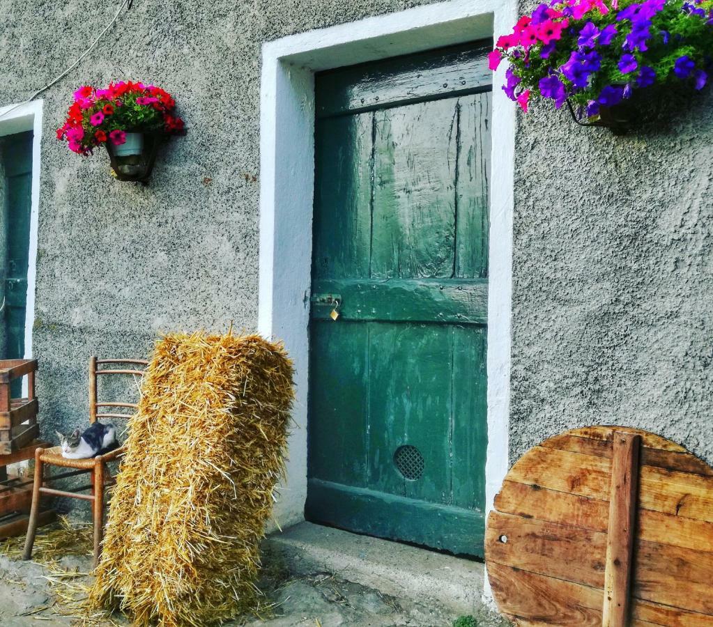 Berzuaia Bed & Breakfast Varazze Exteriér fotografie