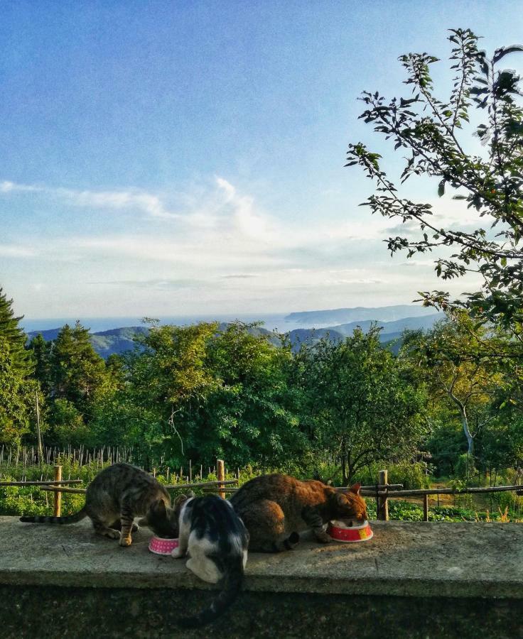 Berzuaia Bed & Breakfast Varazze Exteriér fotografie